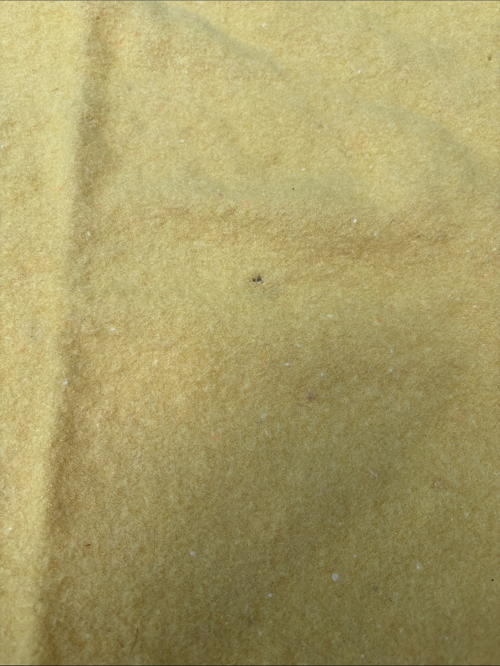 Vintage Wool Blanket - Picture 3 of 4
